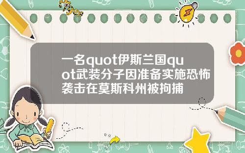 一名quot伊斯兰国quot武装分子因准备实施恐怖袭击在莫斯科州被拘捕