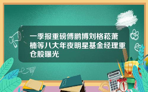 一季报重磅傅鹏博刘格菘萧楠等八大年夜明星基金经理重仓股曝光