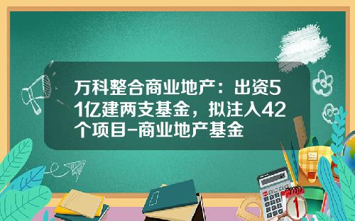 万科整合商业地产：出资51亿建两支基金，拟注入42个项目-商业地产基金