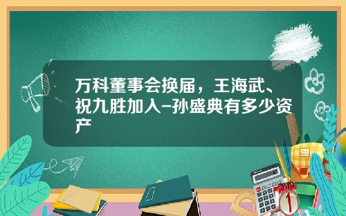 万科董事会换届，王海武、祝九胜加入-孙盛典有多少资产