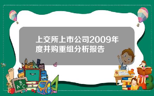 上交所上市公司2009年度并购重组分析报告