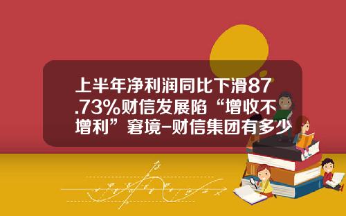 上半年净利润同比下滑87.73%财信发展陷“增收不增利”窘境-财信集团有多少钱