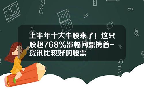 上半年十大牛股来了！这只股超768%涨幅问鼎榜首-资讯比较好的股票