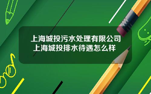 上海城投污水处理有限公司 上海城投排水待遇怎么样