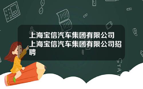 上海宝信汽车集团有限公司上海宝信汽车集团有限公司招聘