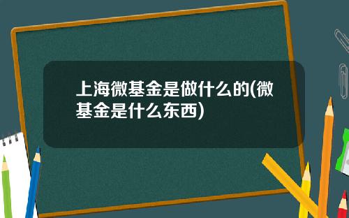 上海微基金是做什么的(微基金是什么东西)