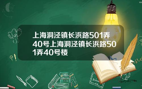 上海洞泾镇长浜路501弄40号上海洞泾镇长浜路501弄40号楼