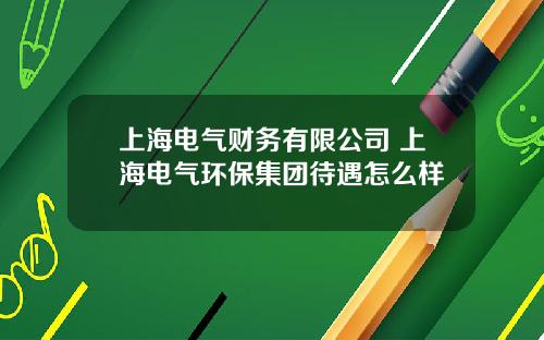 上海电气财务有限公司 上海电气环保集团待遇怎么样