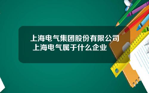 上海电气集团股份有限公司 上海电气属于什么企业