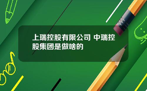 上瑞控股有限公司 中瑞控股集团是做啥的