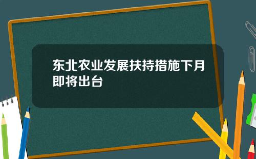 东北农业发展扶持措施下月即将出台