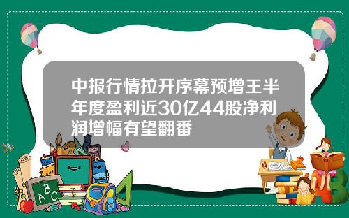 中报行情拉开序幕预增王半年度盈利近30亿44股净利润增幅有望翻番