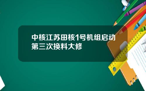 中核江苏田核1号机组启动第三次换料大修