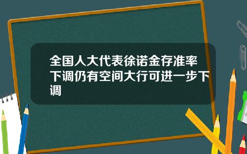 全国人大代表徐诺金存准率下调仍有空间大行可进一步下调