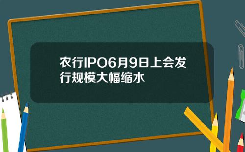 农行IPO6月9日上会发行规模大幅缩水