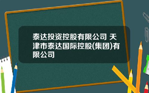 泰达投资控股有限公司 天津市泰达国际控股(集团)有限公司