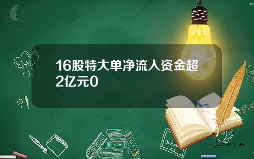 16股特大单净流入资金超2亿元0