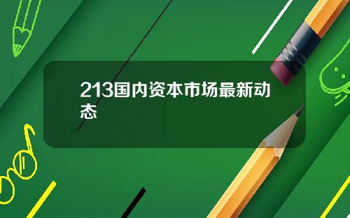 213国内资本市场最新动态