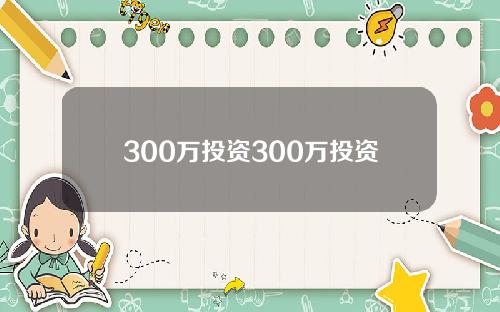 300万投资300万投资