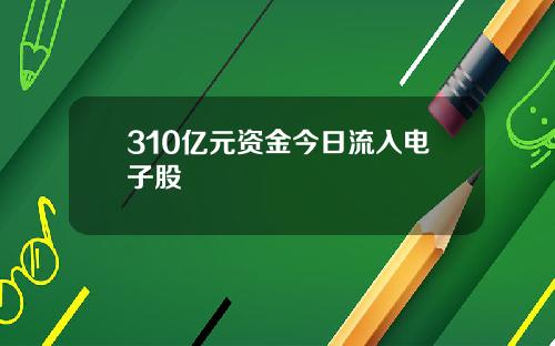 310亿元资金今日流入电子股