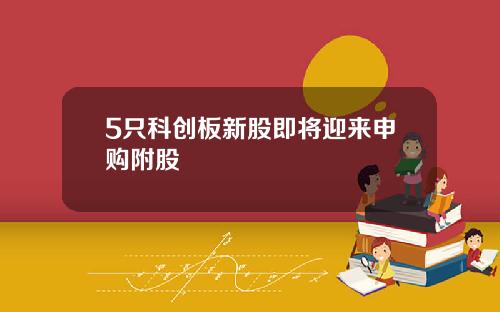 5只科创板新股即将迎来申购附股