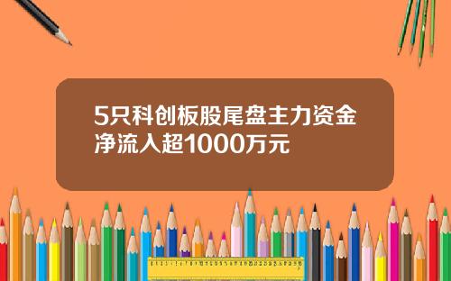 5只科创板股尾盘主力资金净流入超1000万元