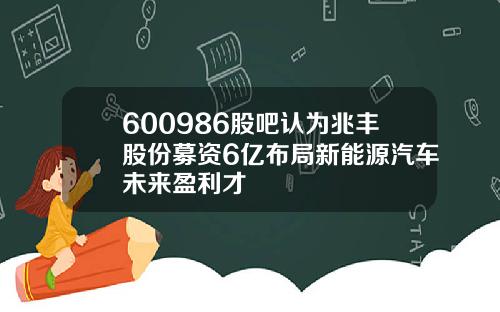 600986股吧认为兆丰股份募资6亿布局新能源汽车未来盈利才