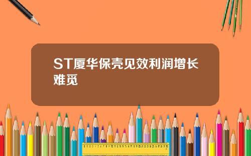 ST厦华保壳见效利润增长难觅