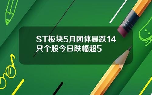 ST板块5月团体暴跌14只个股今日跌幅超5