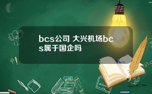 bcs公司 大兴机场bcs属于国企吗