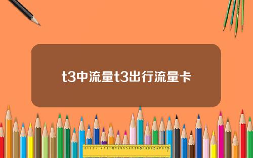 t3中流量t3出行流量卡