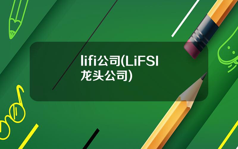 lifi公司(LiFSI龙头公司)