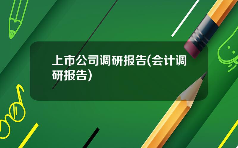 上市公司调研报告(会计调研报告)