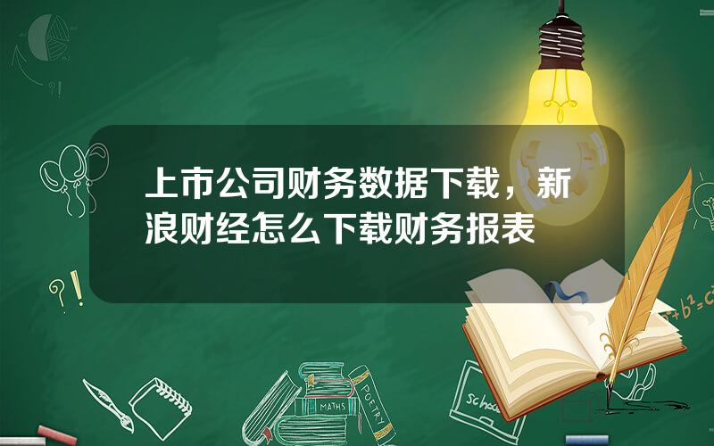 上市公司财务数据下载，新浪财经怎么下载财务报表