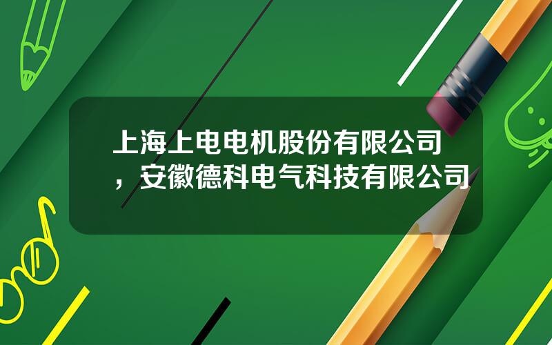 上海上电电机股份有限公司，安徽德科电气科技有限公司