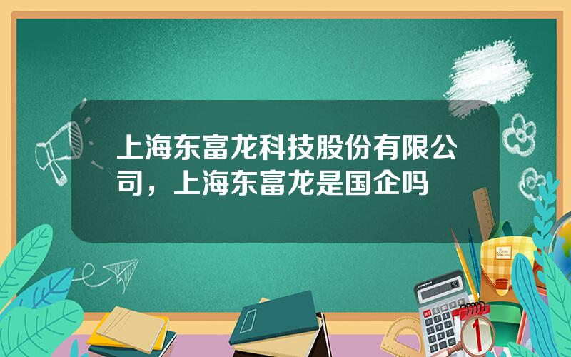 上海东富龙科技股份有限公司，上海东富龙是国企吗