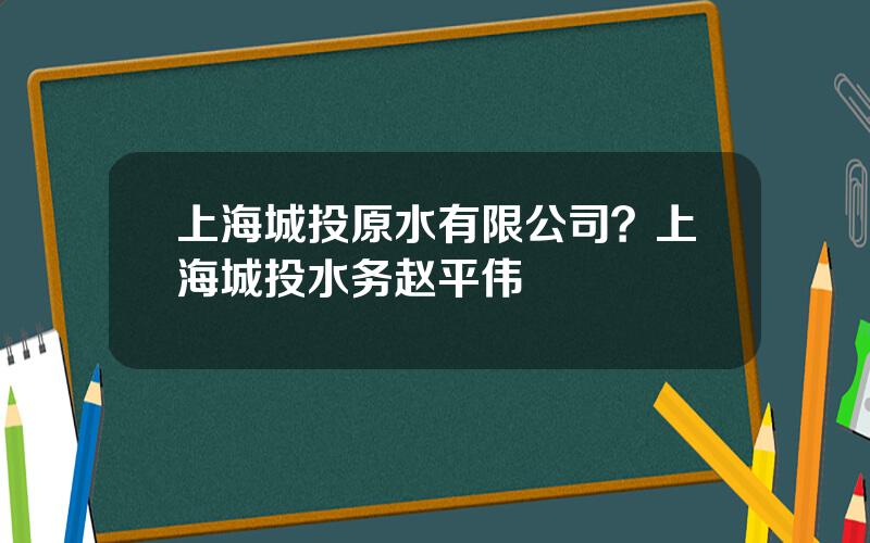 上海城投原水有限公司？上海城投水务赵平伟