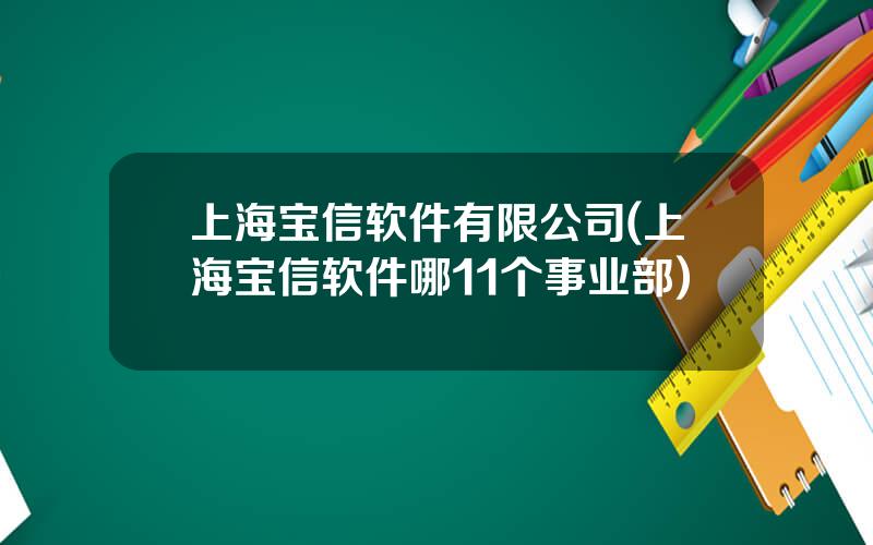 上海宝信软件有限公司(上海宝信软件哪11个事业部)