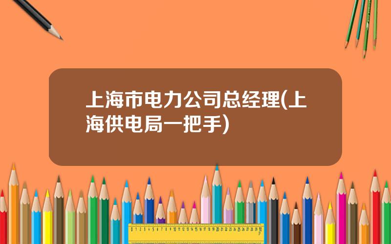 上海市电力公司总经理(上海供电局一把手)