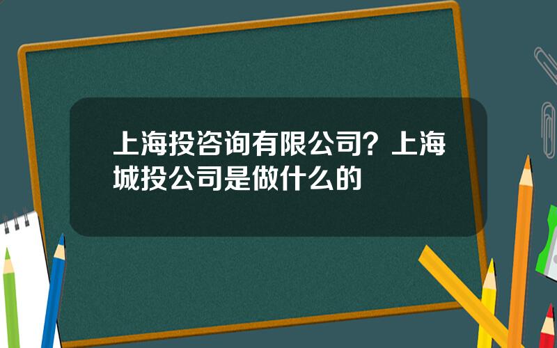 上海投咨询有限公司？上海城投公司是做什么的