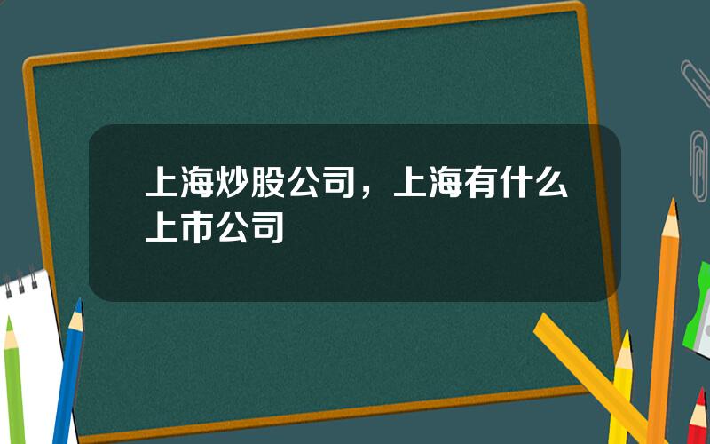 上海炒股公司，上海有什么上市公司