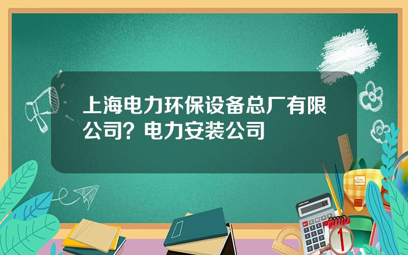 上海电力环保设备总厂有限公司？电力安装公司