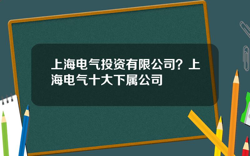 上海电气投资有限公司？上海电气十大下属公司