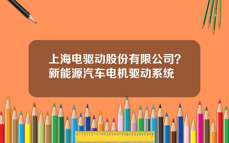 上海电驱动股份有限公司？新能源汽车电机驱动系统