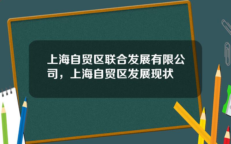 上海自贸区联合发展有限公司，上海自贸区发展现状