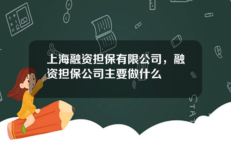 上海融资担保有限公司，融资担保公司主要做什么