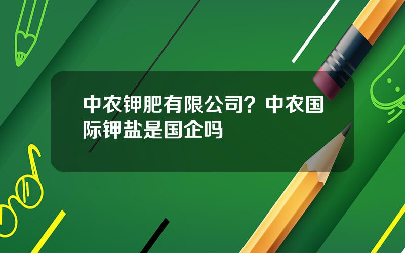 中农钾肥有限公司？中农国际钾盐是国企吗