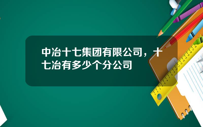 中冶十七集团有限公司，十七冶有多少个分公司