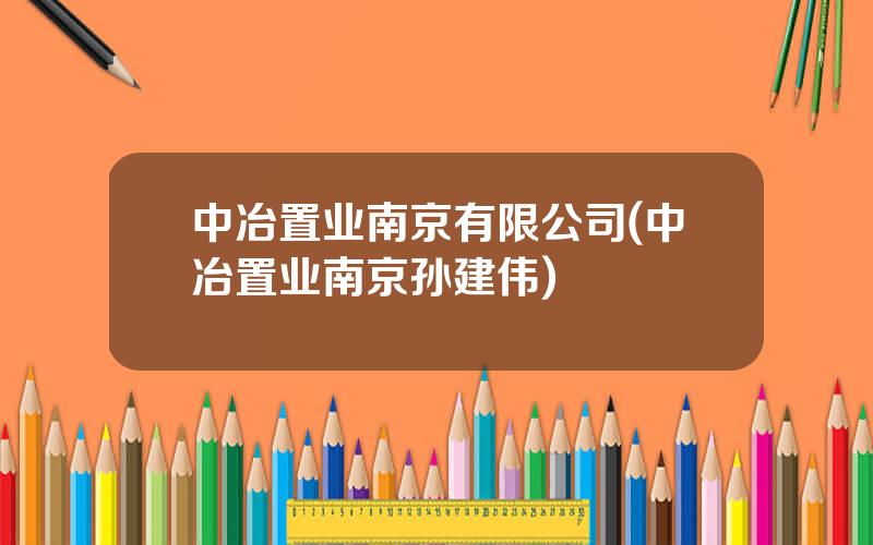 中冶置业南京有限公司(中冶置业南京孙建伟)