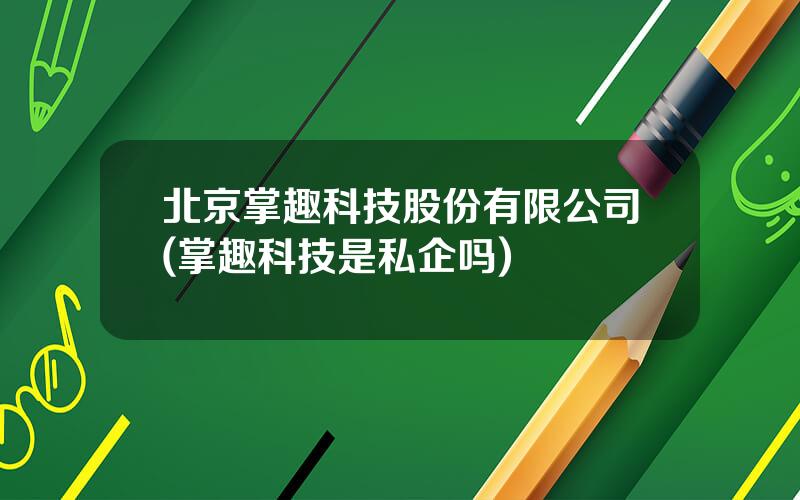 北京掌趣科技股份有限公司(掌趣科技是私企吗)